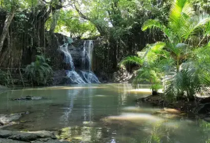 Tropical waterfall in St. Lucia